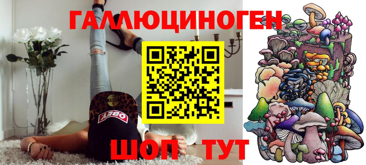 Псилоцибиновые грибы Psilocybine cubensis Янаул